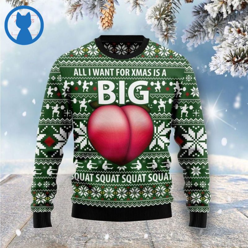 All I Want For Xmas Is Big Booty Ugly Christmas Sweater