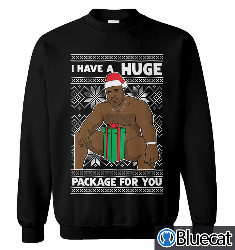 I Have A HUGE Package For You Ugly Christmas Sweater