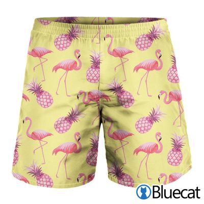 Pineapple And Flamingo Pattern Print MenS Shorts