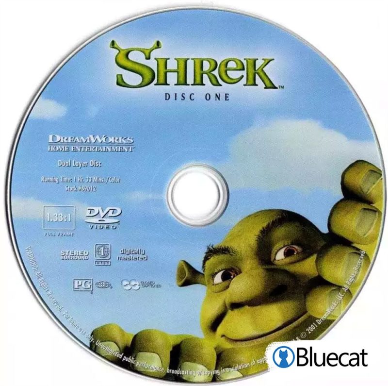 Shrek Disc One CD Rug Carpet