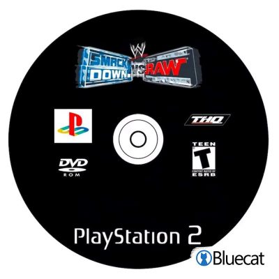 SmackDown vs Row Playstation 2 CD Round Rugs and Carpets