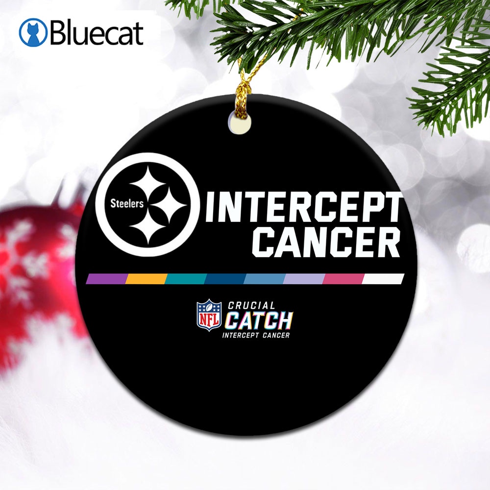 Intercept Cancer Pittsburgh Steelers 2022 NFL Crucial Catch