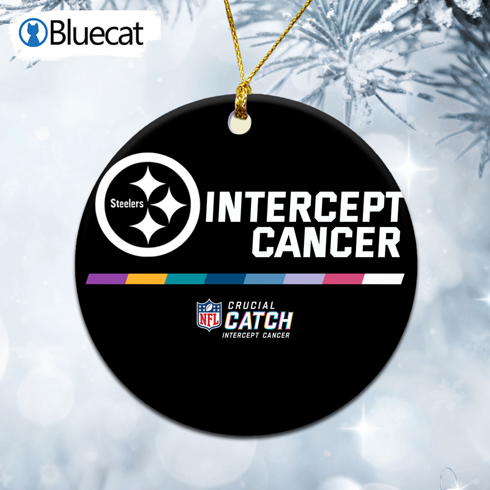 Pittsburgh Steelers 2022 Nfl Intercept Cancer Crucial Catch