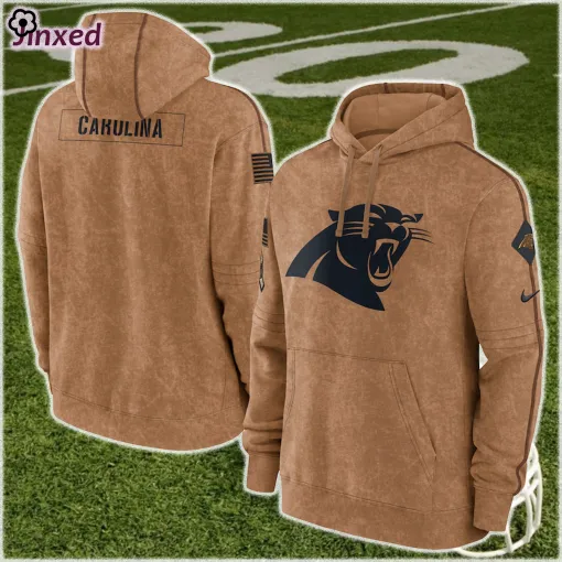 nike brown carolina panthers 2023 salute to service pullover hoodie 1