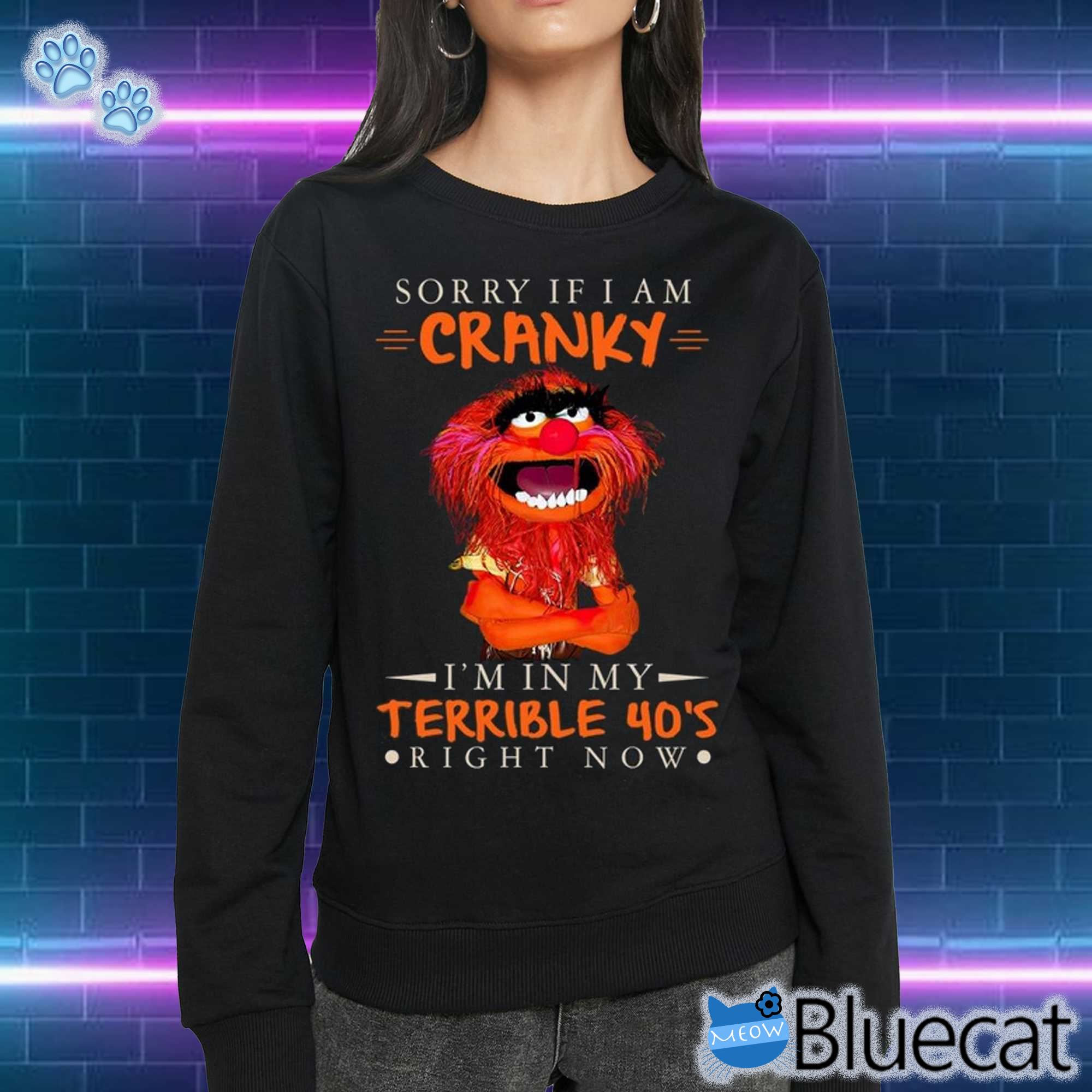 Sorry If I Am Cranky Im In My Terrible 40s Right Now T-shirt Sweatshirt 